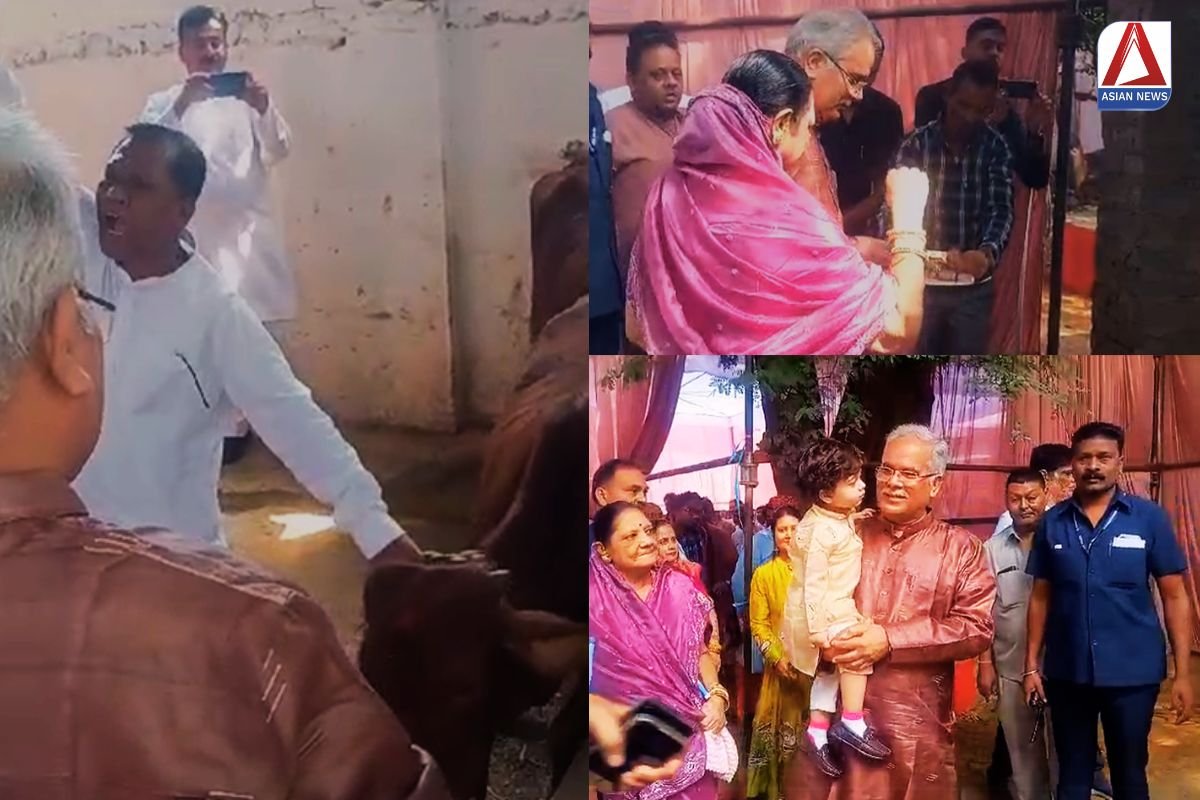 Govardhan Puja 2024 : राजधानी रायपुर में गोवर्धन पूजा की धूम....