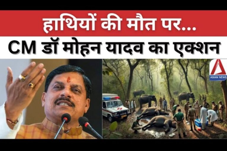 Bhopal Breaking हाथियों की मौत पर सीएम मोहन यादव का बड़ा एक्शन
