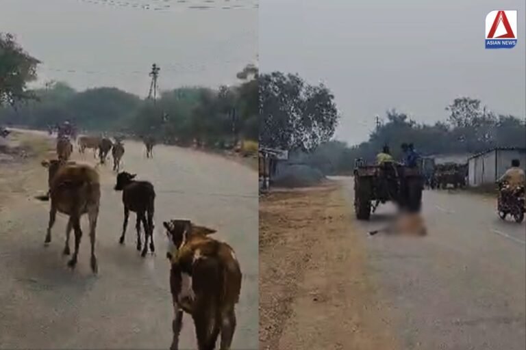 Bilaspur News : फिर सामने आया लोगों का अमानवीय चेहरा...वीडियो वायरल