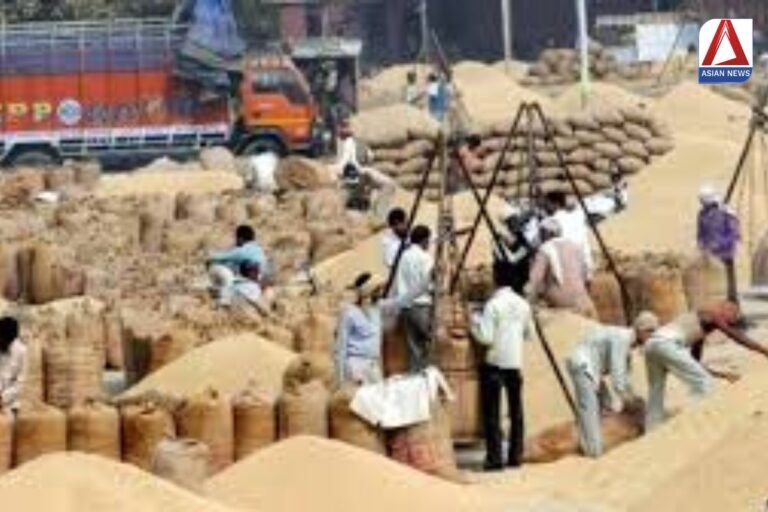 CG Dhan Kharidi 2024 : रायपुर में अब 13 हजार 72 टन धान की हुई खरीदी...