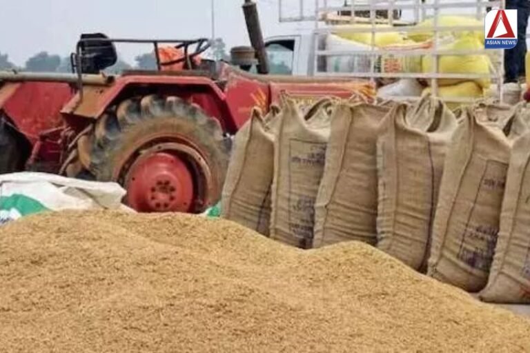 CG Dhan Kharidi धान खरीदी का नंबर किसानों के लिए खुशखबरी