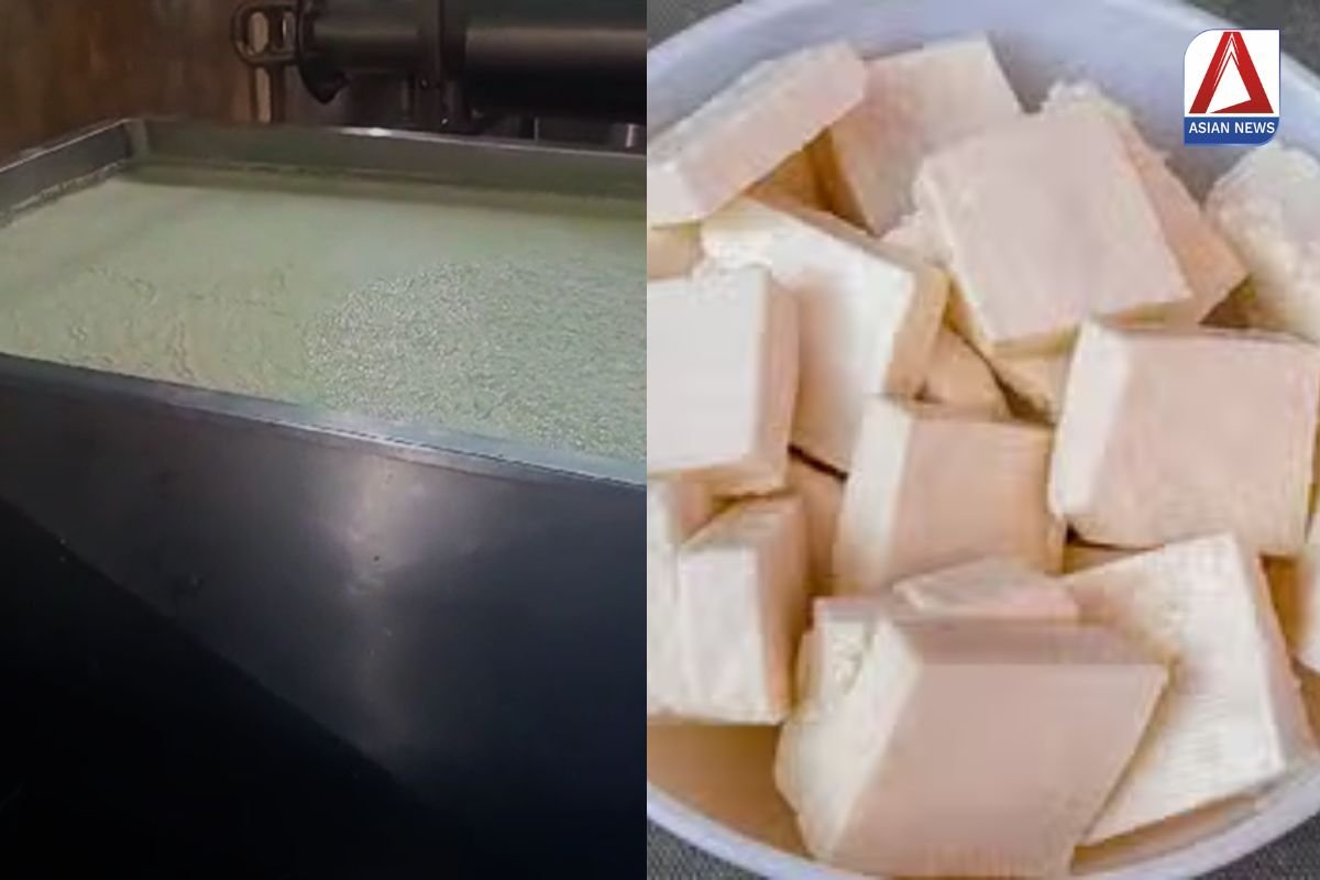 Chhattisgarh News पनीर खाने वाले सावधान......