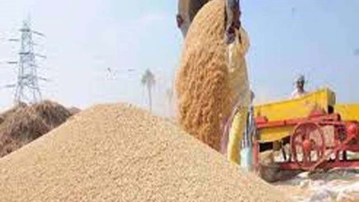 Chhattisgarh News : समर्थन मूल्य पर धान खरीदी पर लगा ग्रहण...पढ़े पूरी खबर