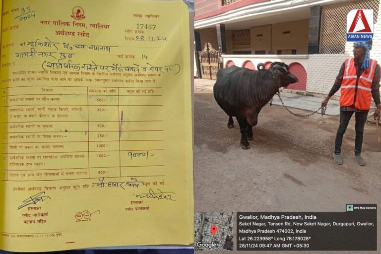 Gwalior Viral News भैंस का गोबर मालिक को पड़ा महंगा, नगर निगम ने ठोका हजारो रुपये का जुर्माना...जानें पूरा मामला