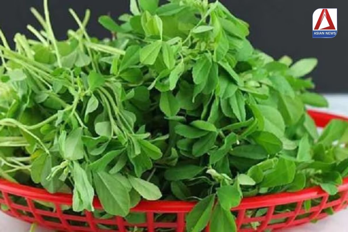 Health Tips सर्दियों में हरी मेथी के फायदे जानकर दंग रह जायेंगे आप...