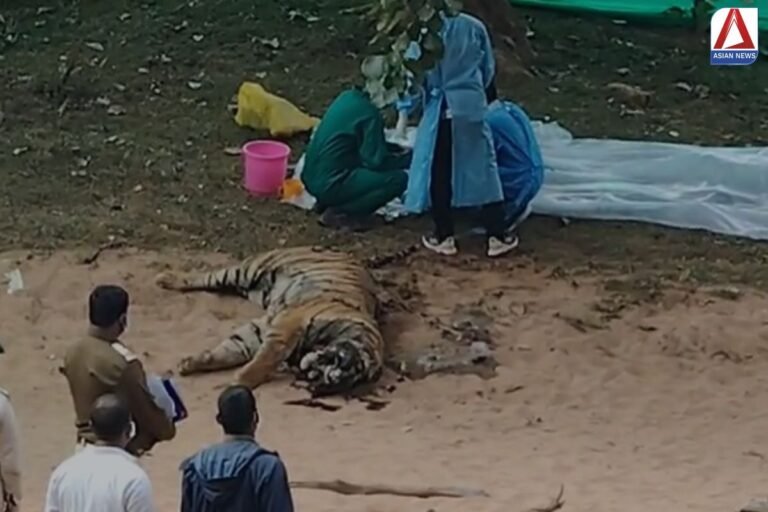 Korea News बाघ के मौत मामले में 2 वन कर्मी पर गिरी गाज...