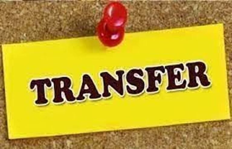 MP Transfer