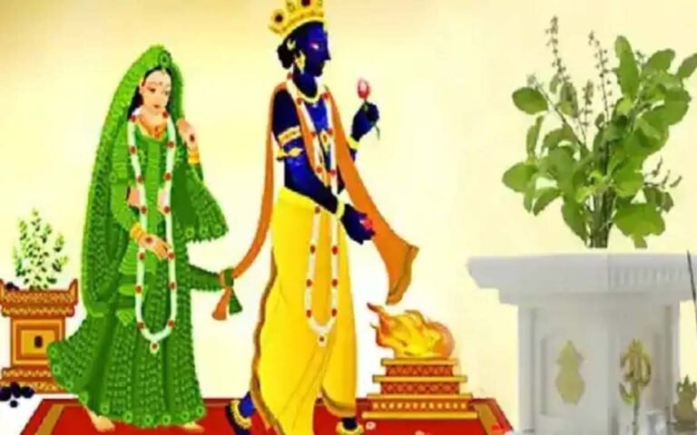 Tulsi Vivah 2024 तुलसी विवाह महत्व और आयोजन.....