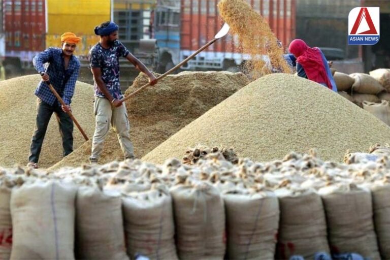 छत्तीसगढ़ में धान खरीदी महापर्व का शुभारंभ, पहले दिन 55 हजार मीट्रिक टन धान की हुई खरीदी