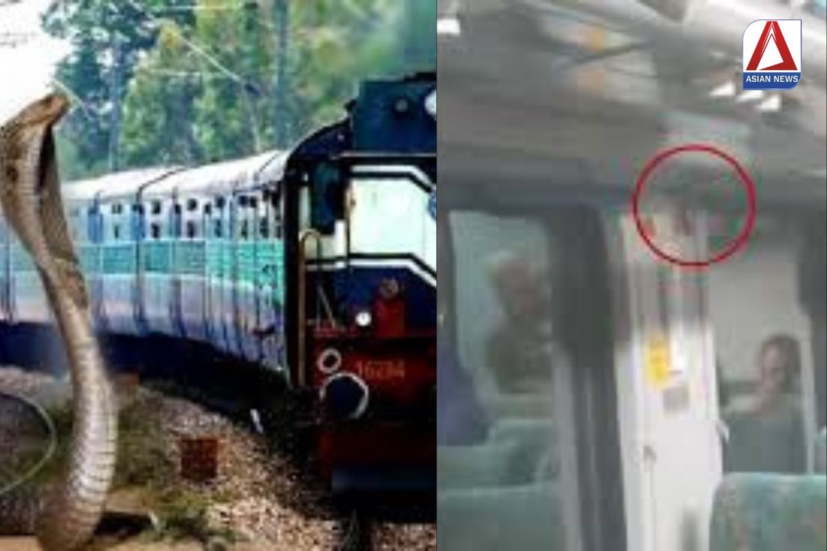ट्रेन के AC कोच में जहरीले सांप को देख यात्रियों में मची भगदड़...देखें वीडियो