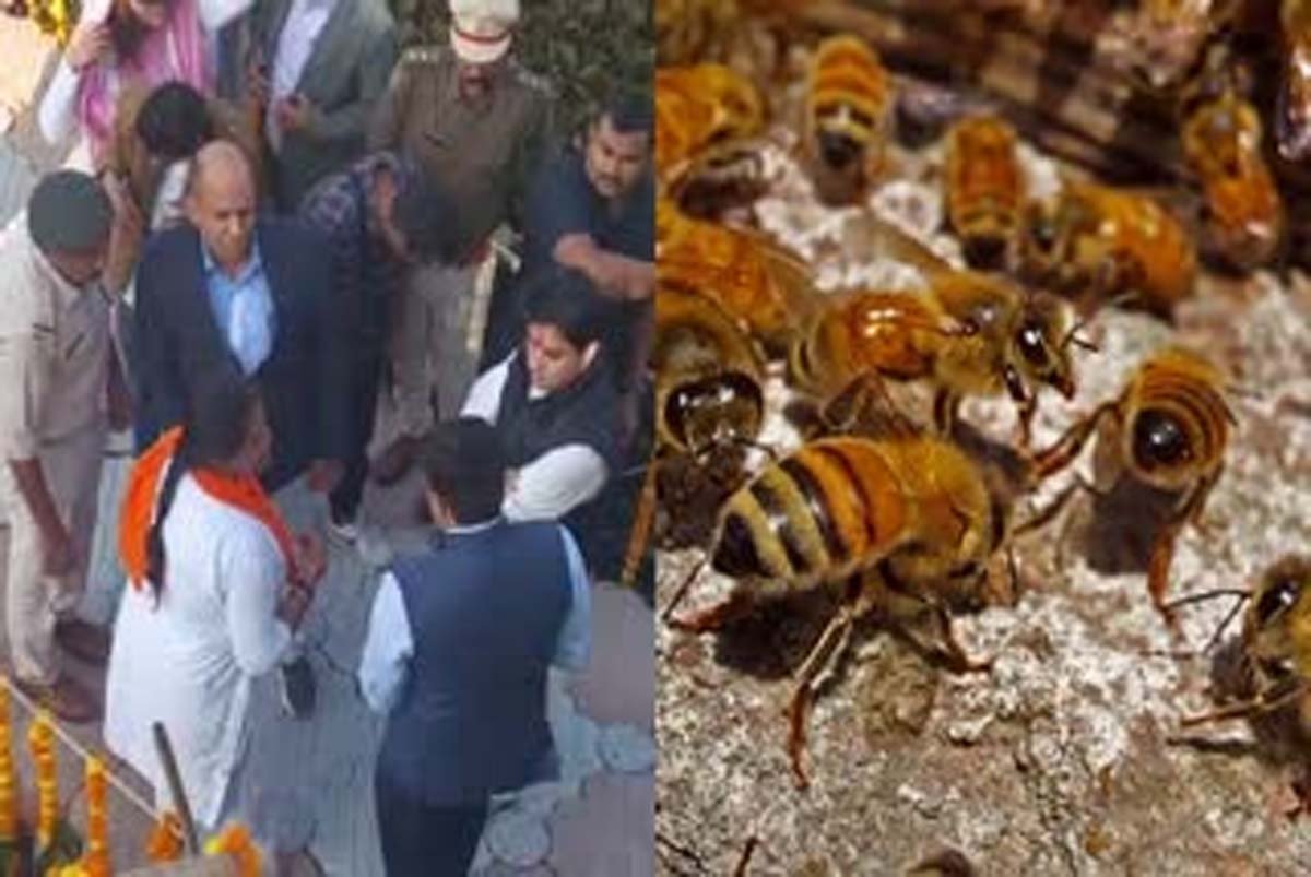 मंत्री ज्योतिरादित्य सिंधिया पर मधुमक्खियों का हमला, पुलिसकर्मी और समर्थक भी घायल