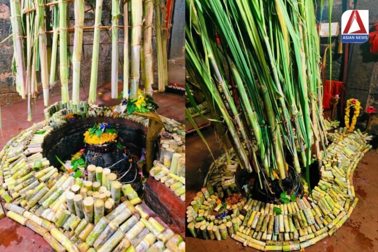 राजिम स्थित बाबा कुलेश्वरनाथ महादेव का आज गन्ने से अदभुत श्रृंगार किया गया