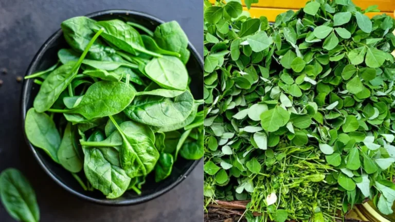 Health Care : सर्दी में सेहतमंद रहें : कड़ाके की सर्दी में खाएं ये फायदेमंद सब्जियां...