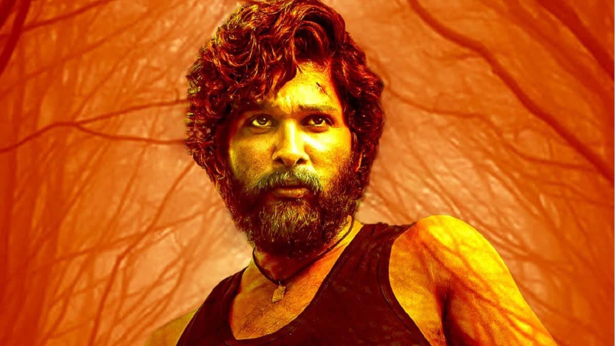 1000 करोड़ की फिल्म बनाने वाले डायरेक्टर ने देखी Pushpa 2, जानें क्या कहा....