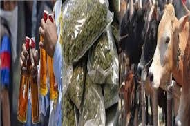 CG News: राजनांदगांव एसपी ने अपराध, गांजा, मवेशी तस्करी और अवैध शराब पर अंकुश लगाने के लिए सख्त निर्देश दिए.....