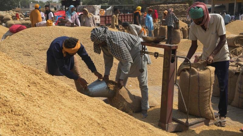 CG Paddy Procurement Shortage of gunny bags in paddy procurement centers of Chhattisgarh, farmers worried