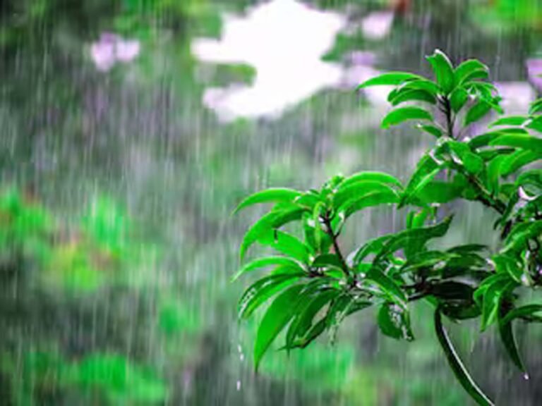 CG Weather Update : छत्तीसगढ़ में बदलेगा मौसम का मिजाज...