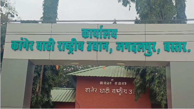 Bastar News : हिरण का शिकार कर पिकनिक मना रहे पांच आरोपी गिरफ्तार....