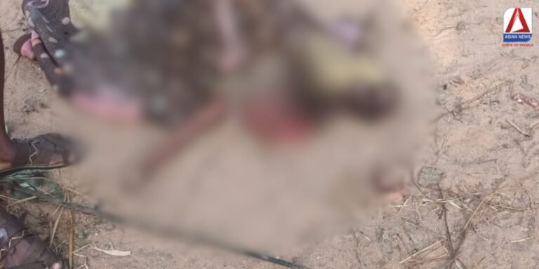 Dhamtari News हाथी के हमले में 3 साल की बच्ची की दर्दनाक मौत...