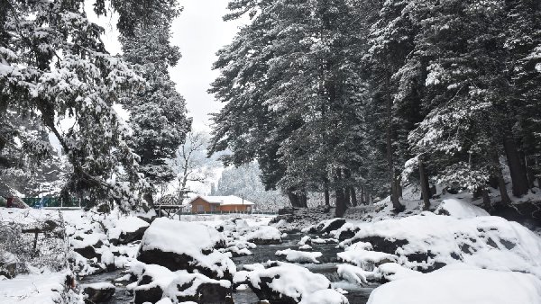 कश्मीर में सीजन की पहली बर्फबारी, पर्यटकों के लिए बनी मुसीबत