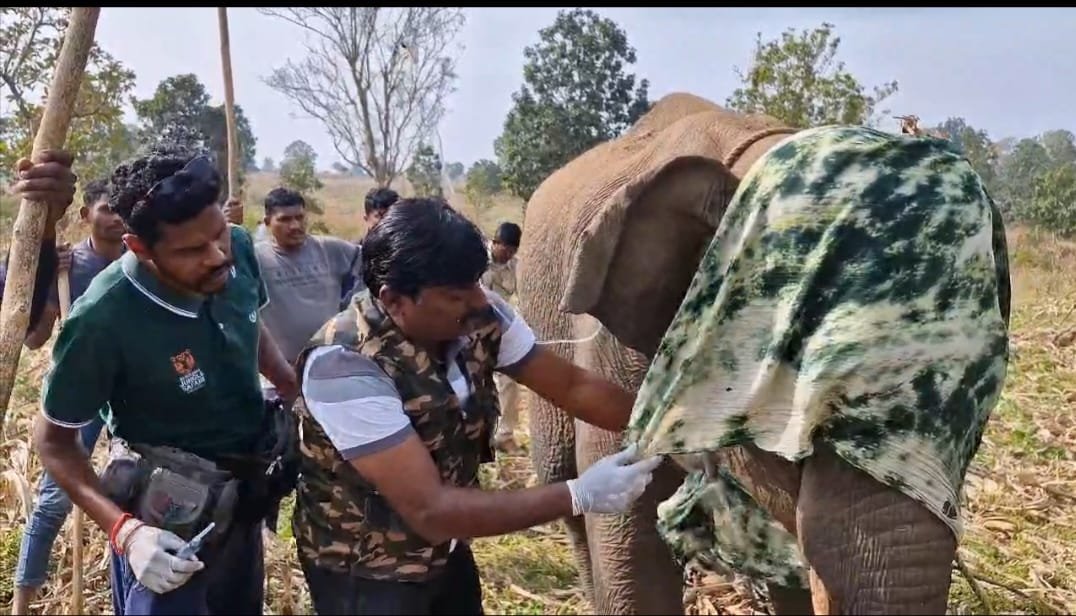 IMG-20241127-WA0016 (1)