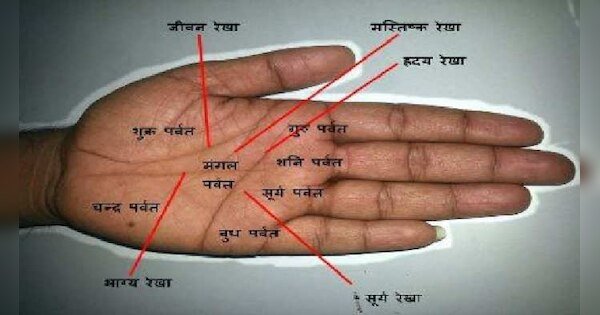 हाथ की लकीरों से जानें अपना भविष्य, जानिए हर रेखा का महत्व.....