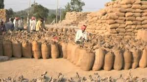CG News: छत्तीसगढ़ में 15 नवंबर से शुरू होगी धान खरीदी, 1.60 लाख मीट्रिक टन खरीदी की संभावना, प्रति क्विंटल 31 सौ का होगा भुगतान...