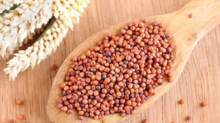 Ragi becomes a superfood in winter, know its benefits