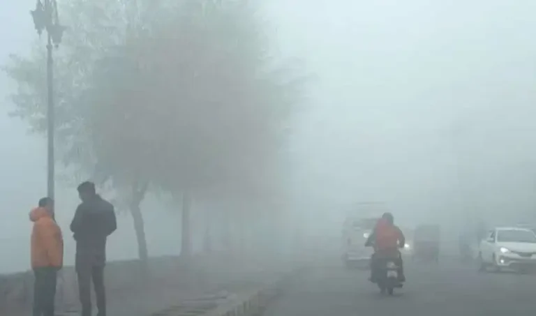 मध्यप्रदेश में बारिश का अलर्ट: 23 दिसंबर से बढ़ेगी ठंड, कई जिलों में कोहरे का असर