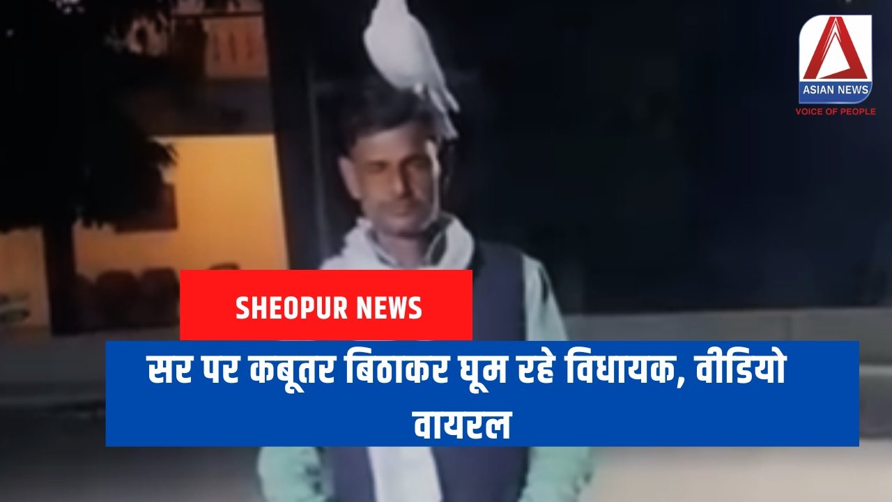 Sheopur News सर पर कबूतर बिठाकर घूम रहे विधायक, वीडियो वायरल