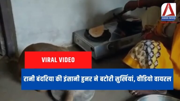 Viral Video : रानी बंदरिया की इंसानी हुनर ने बटोरी सुर्खियां, वीडियो वायरल