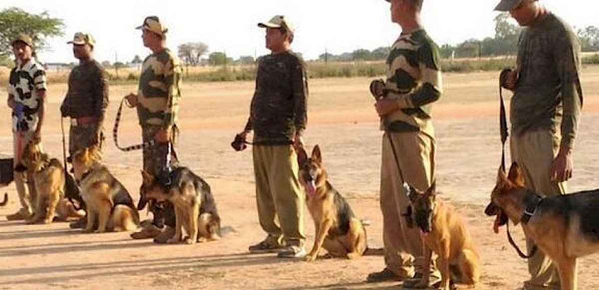 WhatsApp Image 2024-12-05 at 12.15.35 new