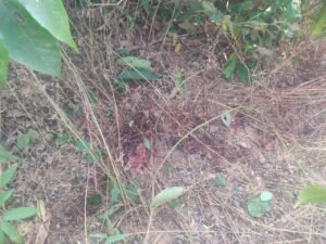 WhatsApp Image 2024 12 05 at 14.17.11