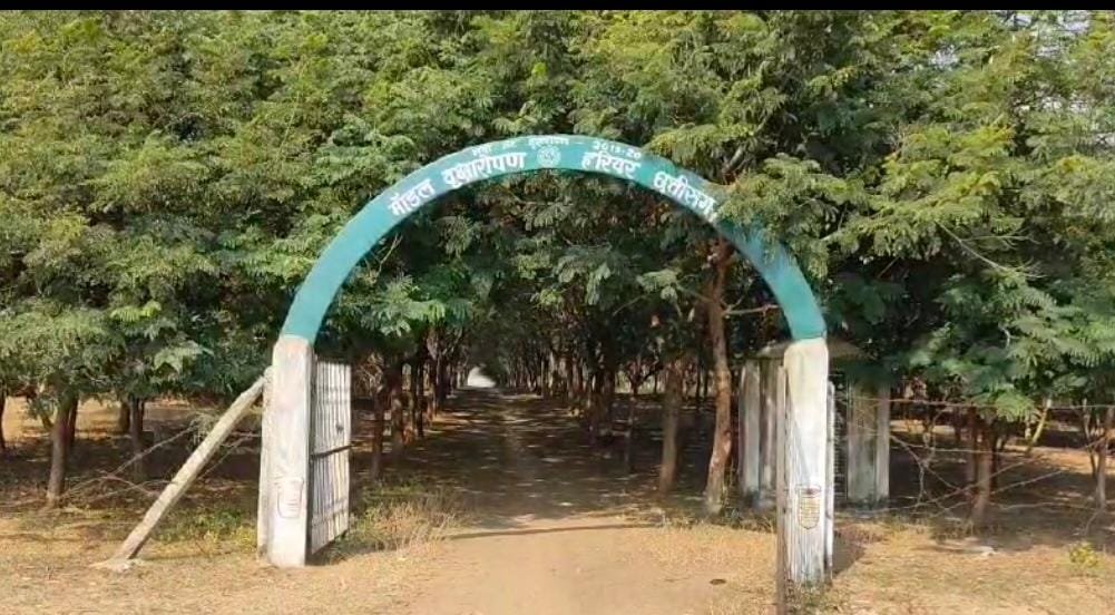 WhatsApp Image 2024-12-17 at 11.46.17 AM