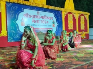 गोंडवाना महोत्सव : हमारी कला और संस्कृति की गूंज प्रदेश सहित देश भर में हो : कौशल्या साय 4 WhatsApp Image 2024 12 18 at 14.00.58