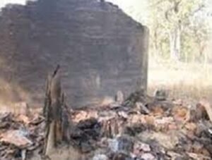 WhatsApp Image 2024 12 19 at 14.03.52