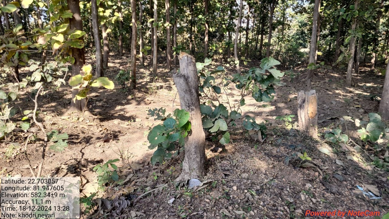 WhatsApp Image 2024-12-19 at 5.38.48 PM