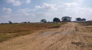 WhatsApp Image 2024 12 30 at 12.38.50 1