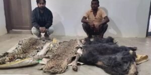 WhatsApp Image 2024 12 30 at 14.15.46