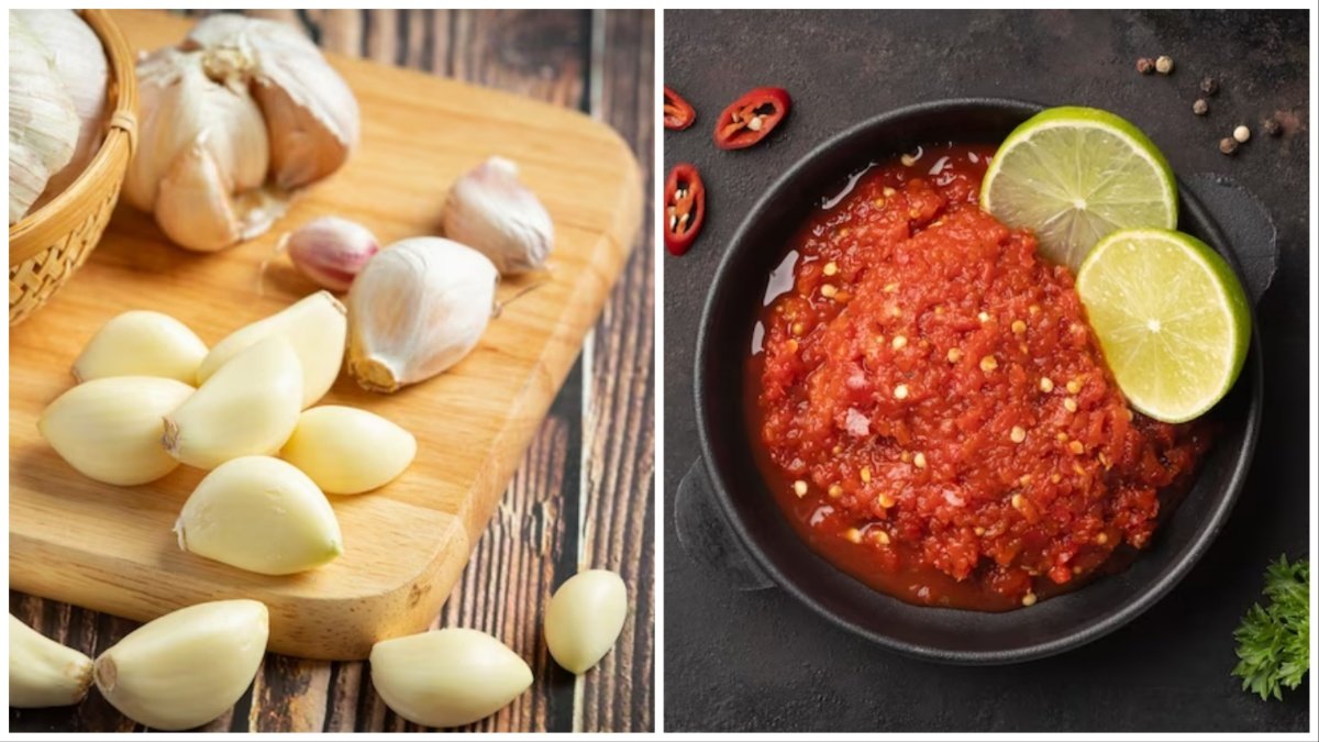 garlic-chutney-1685859888