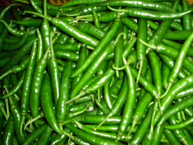 green-chilli_650x488_71442574139