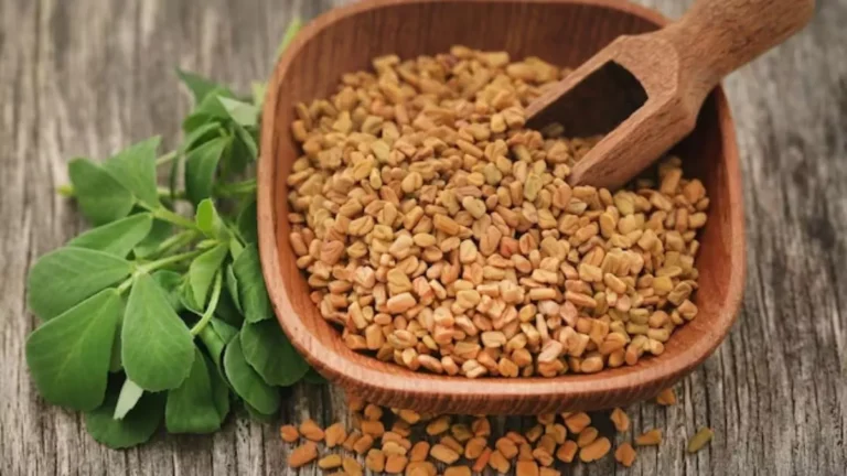 methi_dana_23523854
