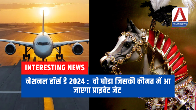 नेशनल हॉर्स डे 2024 वो घोडा जिसकी कीमत में आ जाएगा प्राइवेट जेट (1)