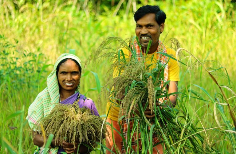 प्राकृतिक खेती