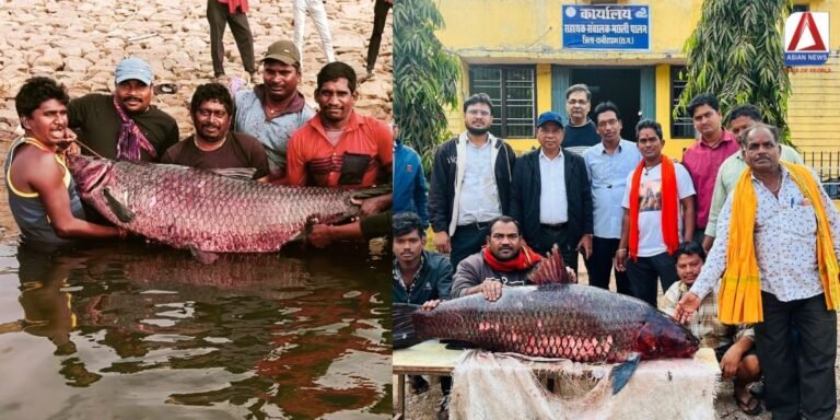 मछुआरे का जाल अचानक हुआ भारी उसके बाद जो हुआ जानकार दंग रह जाएंगे आप