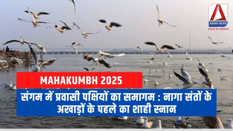 संगम में प्रवासी पक्षियों का समागम नागा संतों के अखाड़ों के पहले का शाही स्नान