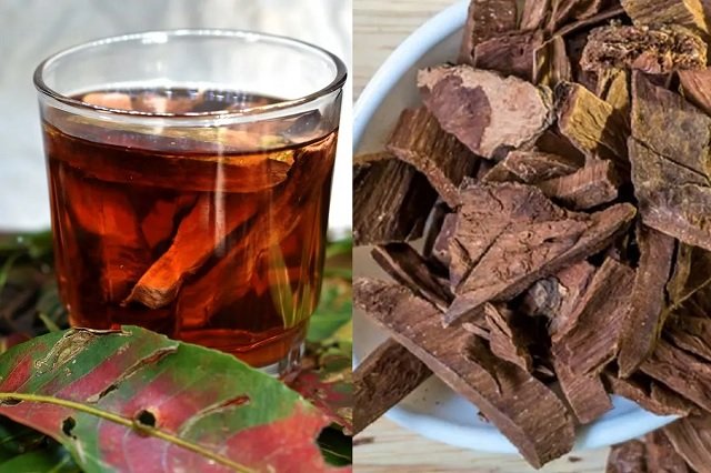 Health Care : अर्जुन की छाल, बीमारियों से बचाव का प्राकृतिक उपाय...