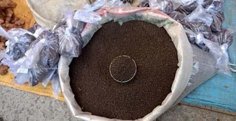 Gorakhpur News : चाय की पत्ती में खतरनाक केमिकल मिलावट का भंडाफोड़, सैकड़ों क्विंटल चाय जब्त