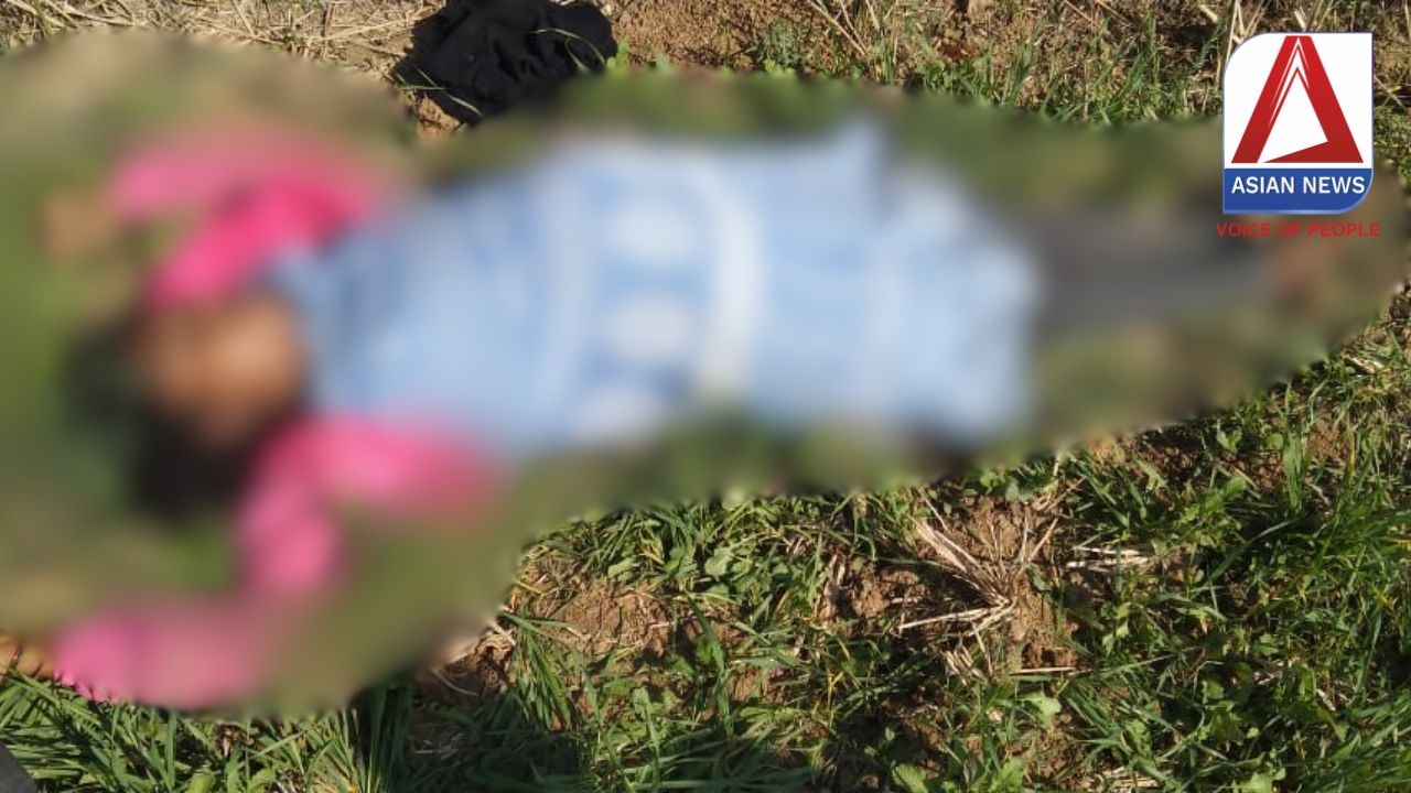 Ambikapur Breaking : घर के पीछे बाड़ी में मिली गर्भवती महिला की लाश....
