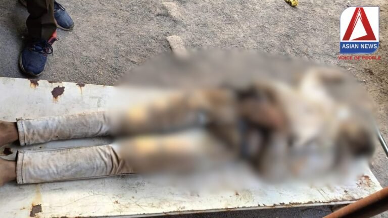 Bilaspur Accident : सड़क हादसे में बाइक सवार युवक की मौत.....
